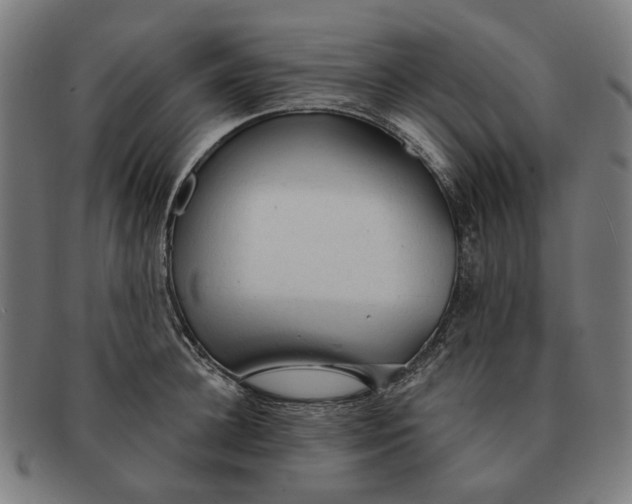 X0000091330948200708311434
