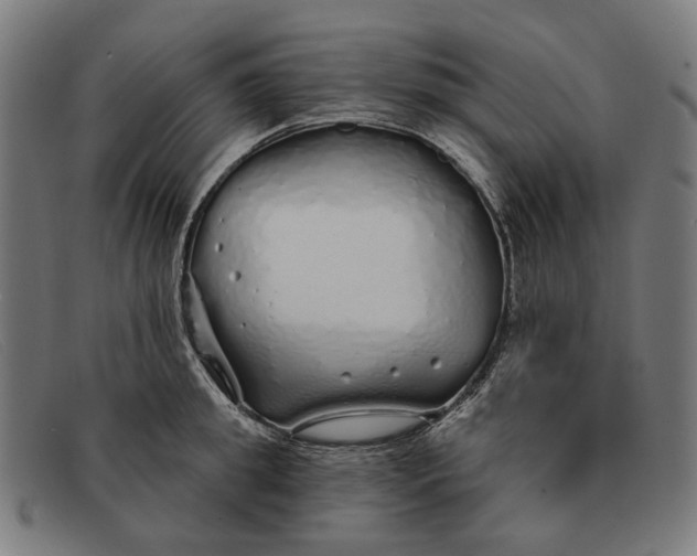 X0000091330949200708311434
