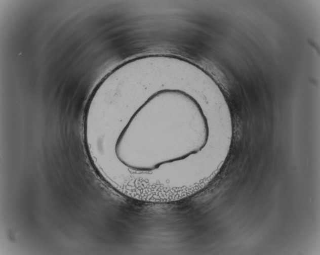 X0000091330950200708311434