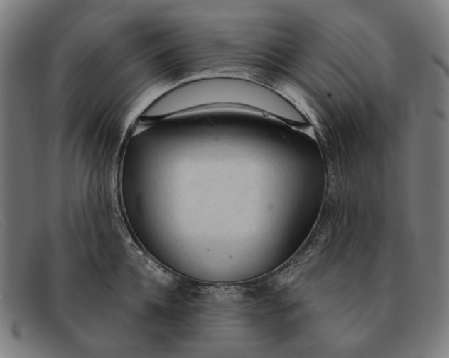 X0000091330952200708311434