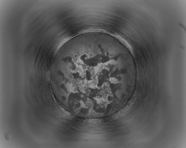 X0000091330953200708311434
