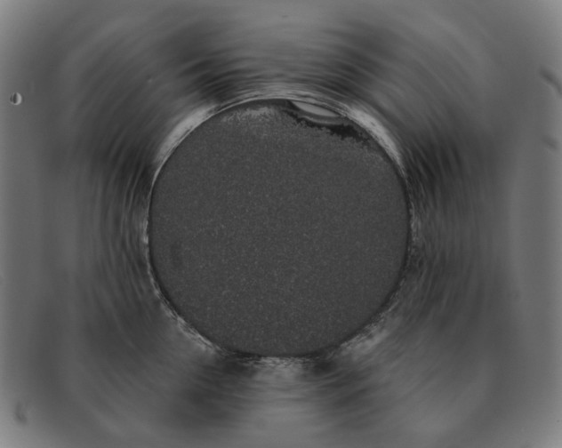 X0000091330954200708311434