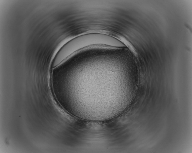 X0000091330955200708311434