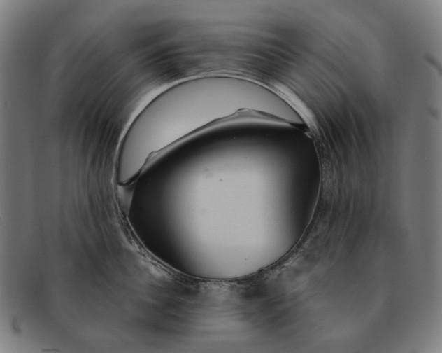 X0000091330956200708311434