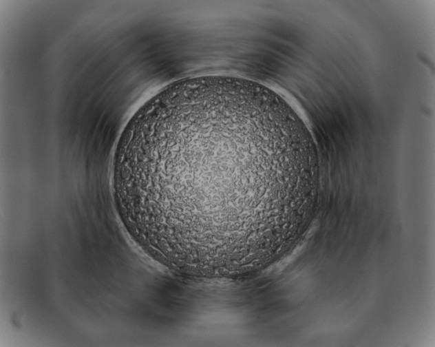 X0000091330957200708311434