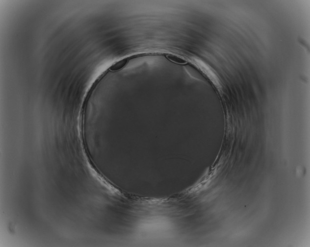 X0000091330958200708311434