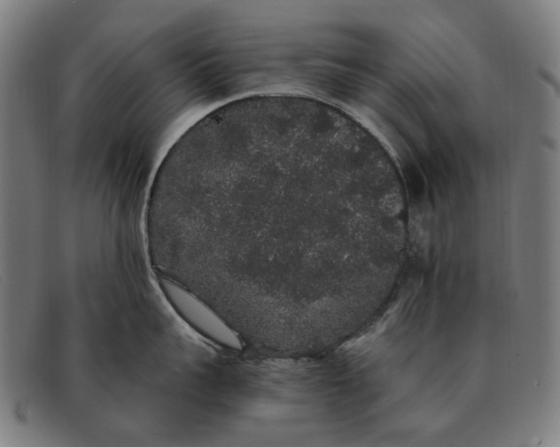 X0000091330959200708311434