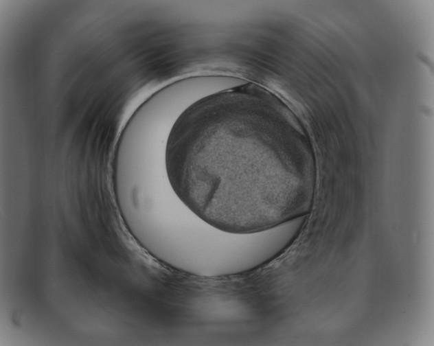 X0000091330960200708311434