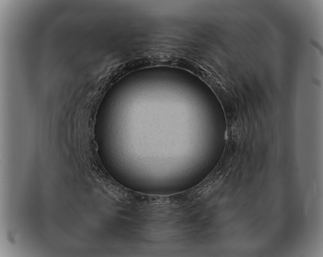 X0000091330961200708311433