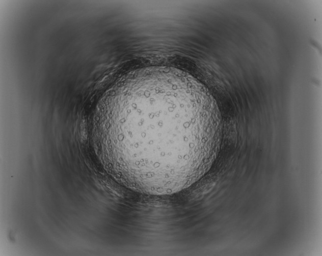 X0000091330962200708311433