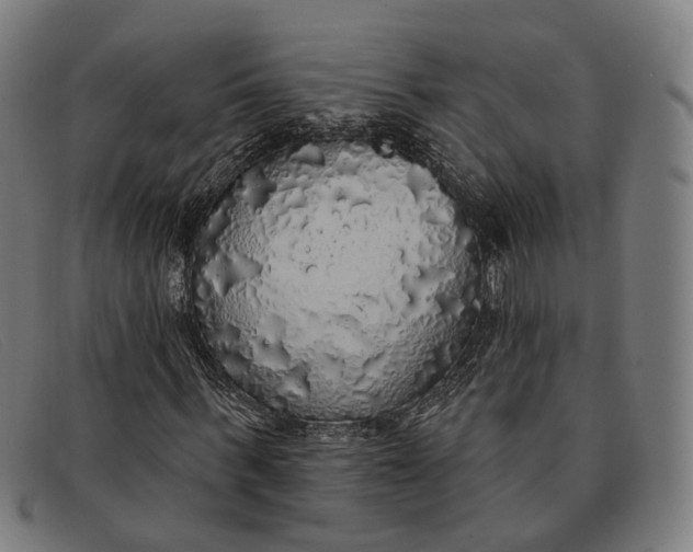 X0000091330963200708311433
