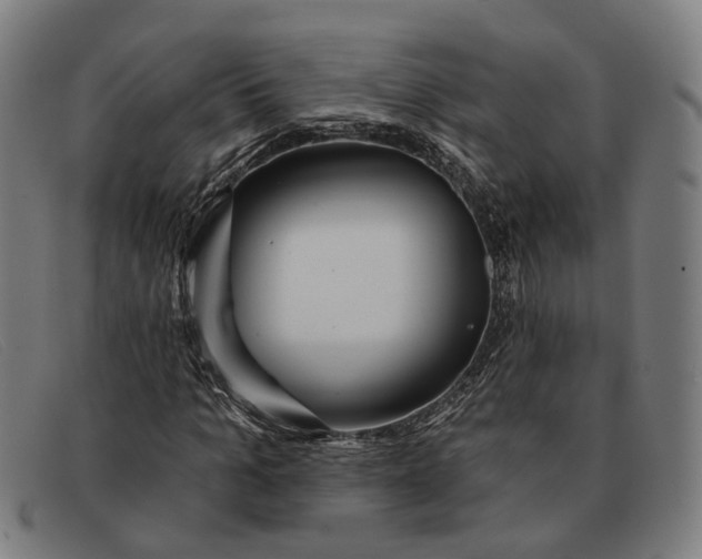X0000091330965200708311433