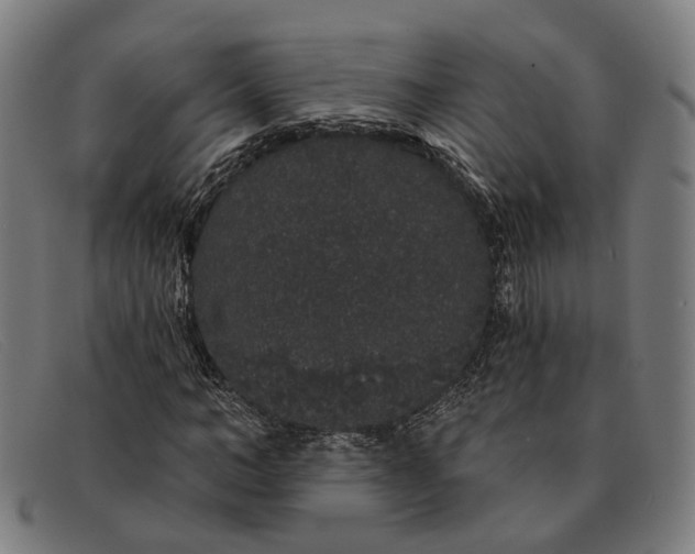 X0000091330966200708311433