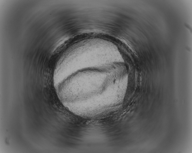 X0000091330967200708311433