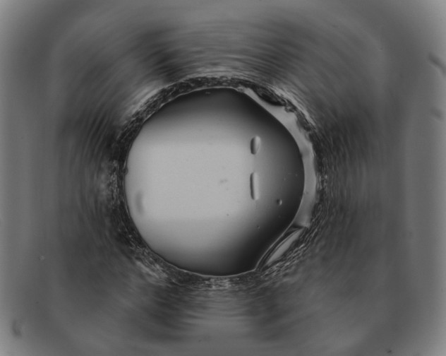 X0000091330968200708311433