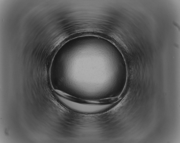 X0000091330969200708311433
