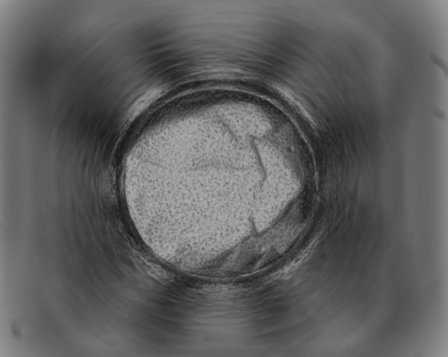 X0000091330970200708311433