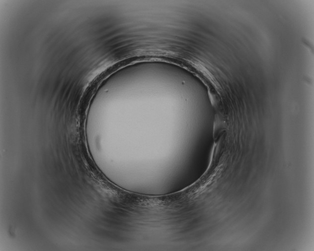 X0000091330971200708311433
