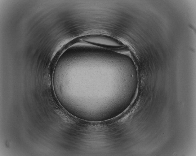 X0000091330973200708311433