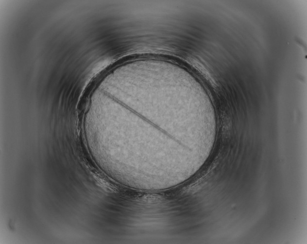 X0000091330974200708311433