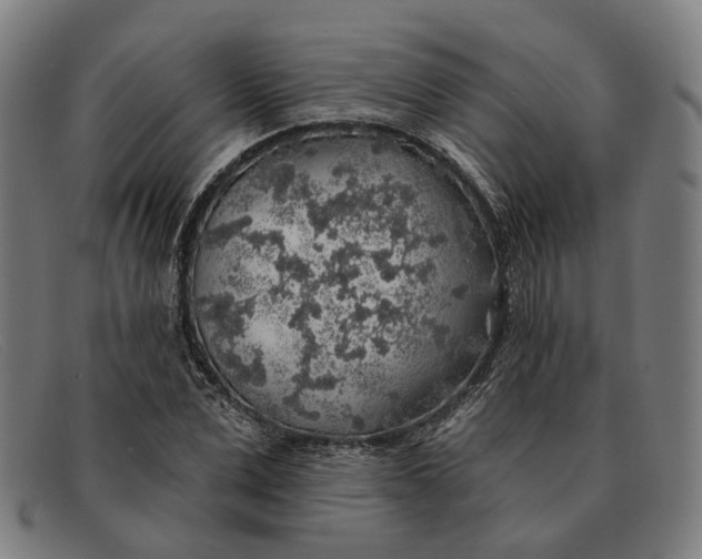 X0000091330975200708311433