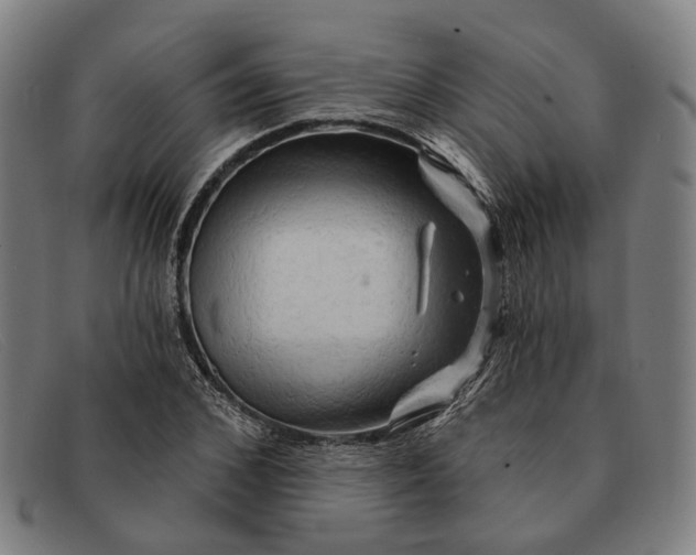 X0000091330976200708311433