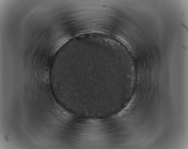 X0000091330977200708311433