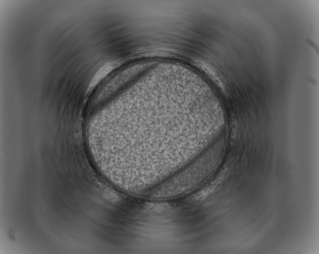 X0000091330978200708311433
