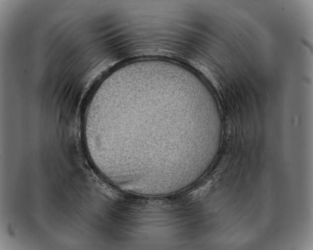 X0000091330979200708311433