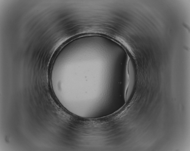 X0000091330980200708311433