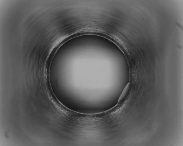 X0000091330981200708311433