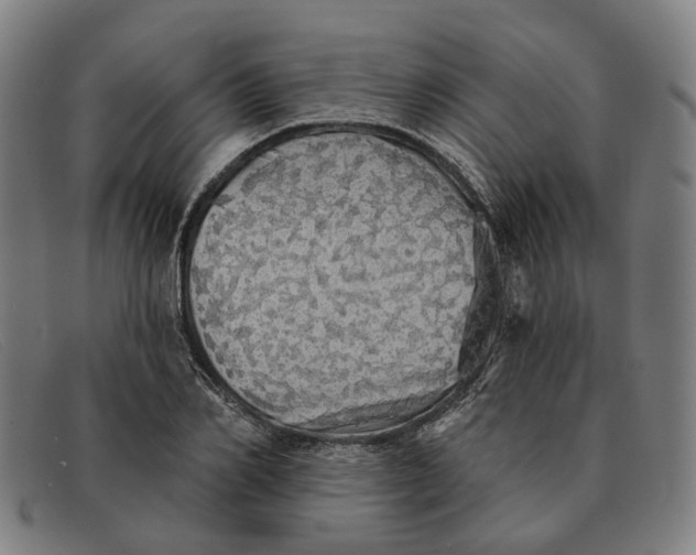 X0000091330982200708311433
