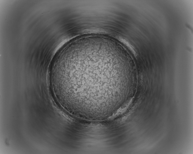 X0000091330983200708311433