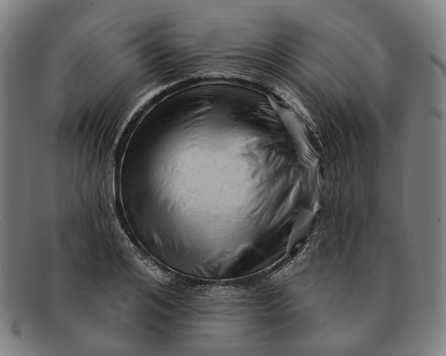 X0000091330984200708311433