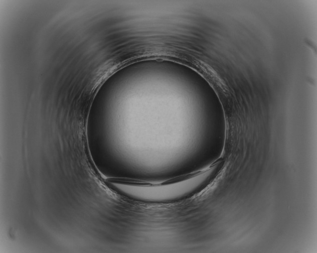 X0000091330985200708311433