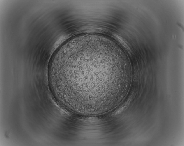 X0000091330986200708311433