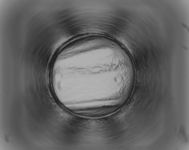 X0000091330987200708311433