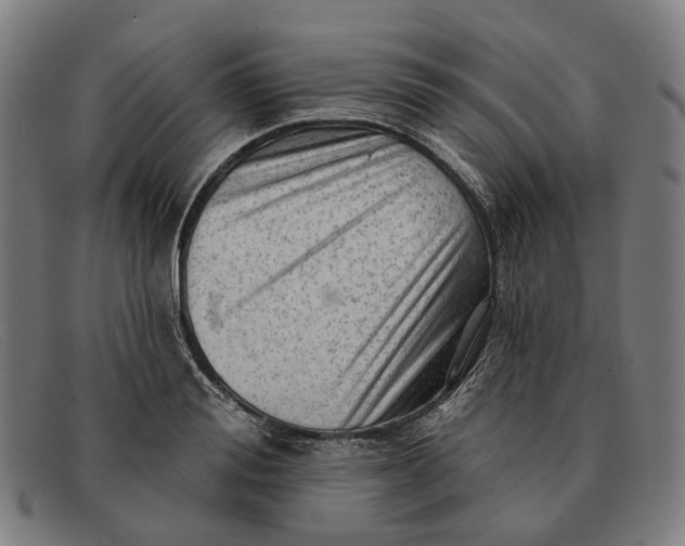 X0000091330988200708311433