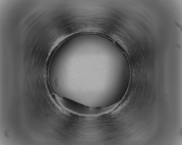 X0000091330989200708311433