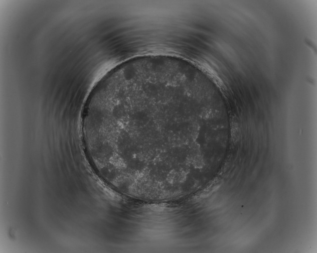 X0000091330990200708311433
