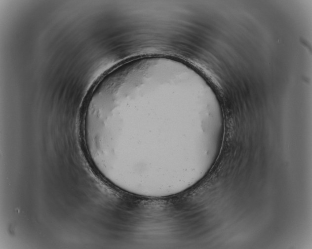 X0000091330991200708311433