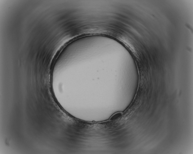 X0000091330992200708311433
