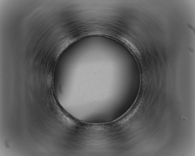 X0000091330993200708311433