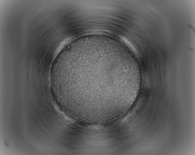 X0000091330994200708311433