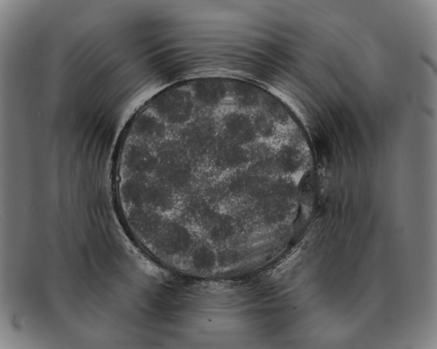 X0000091330995200708311433