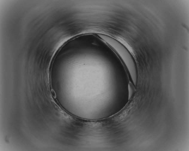 X0000091330996200708311433
