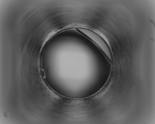 X0000091330997200708311433
