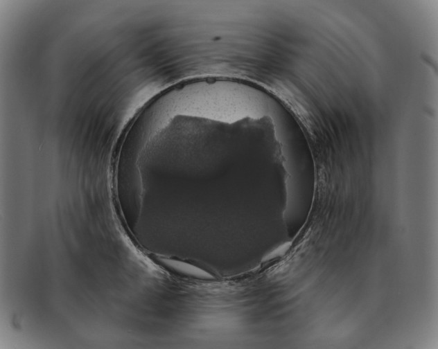 X0000091330998200708311433