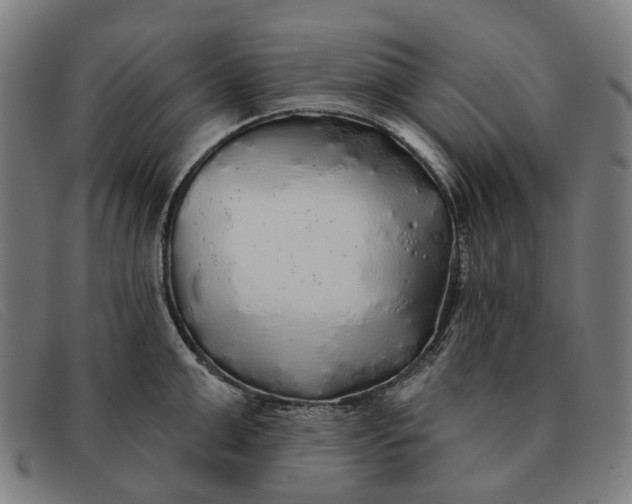 X0000091330999200708311433