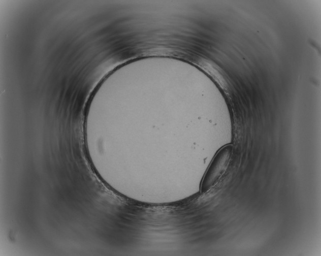 X0000091331000200708311433